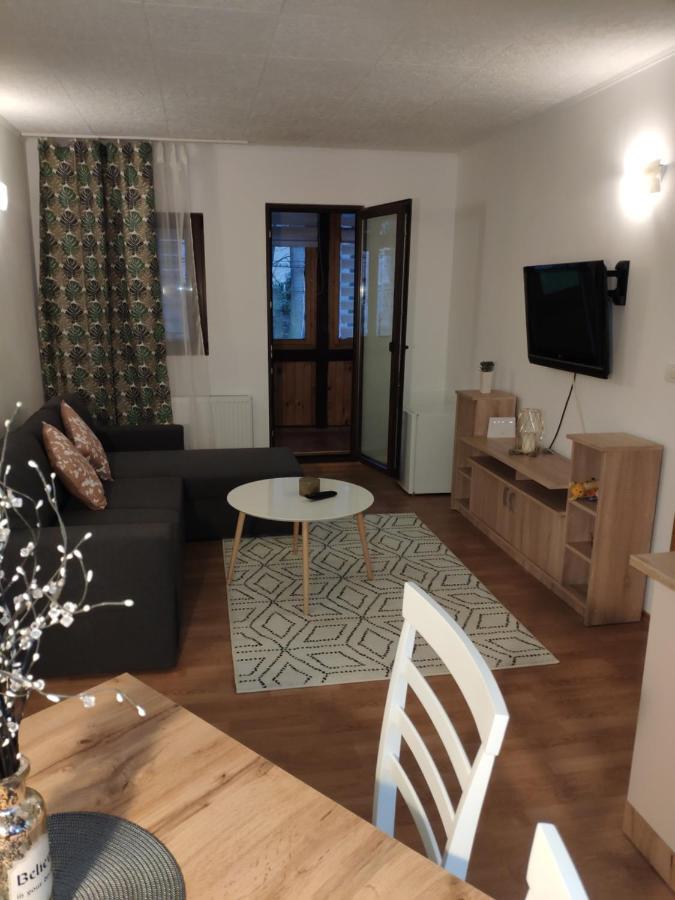 시나이아 Cozy Loft At Teleferic 아파트 외부 사진